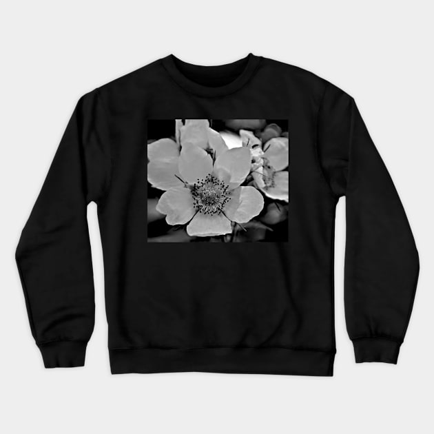 Glacier National Park Wild Flowers, black and white2 Crewneck Sweatshirt by StonePics